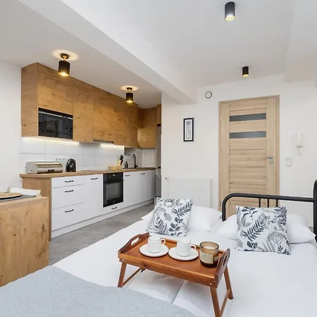 Cozy Moniuszki Cracow Downtown By Renters